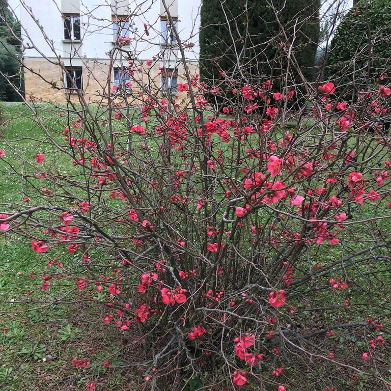 Basisa Bed&Breakfast San Lazzaro di Savena Kültér fotó